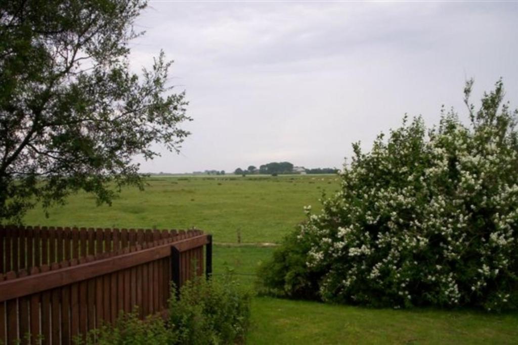 Apartmán Wohnen Unter Reet Galmsbull Exteriér fotografie